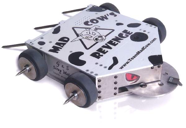 Competitor "Mad Cow's Revenge" at BattleBots 5.0