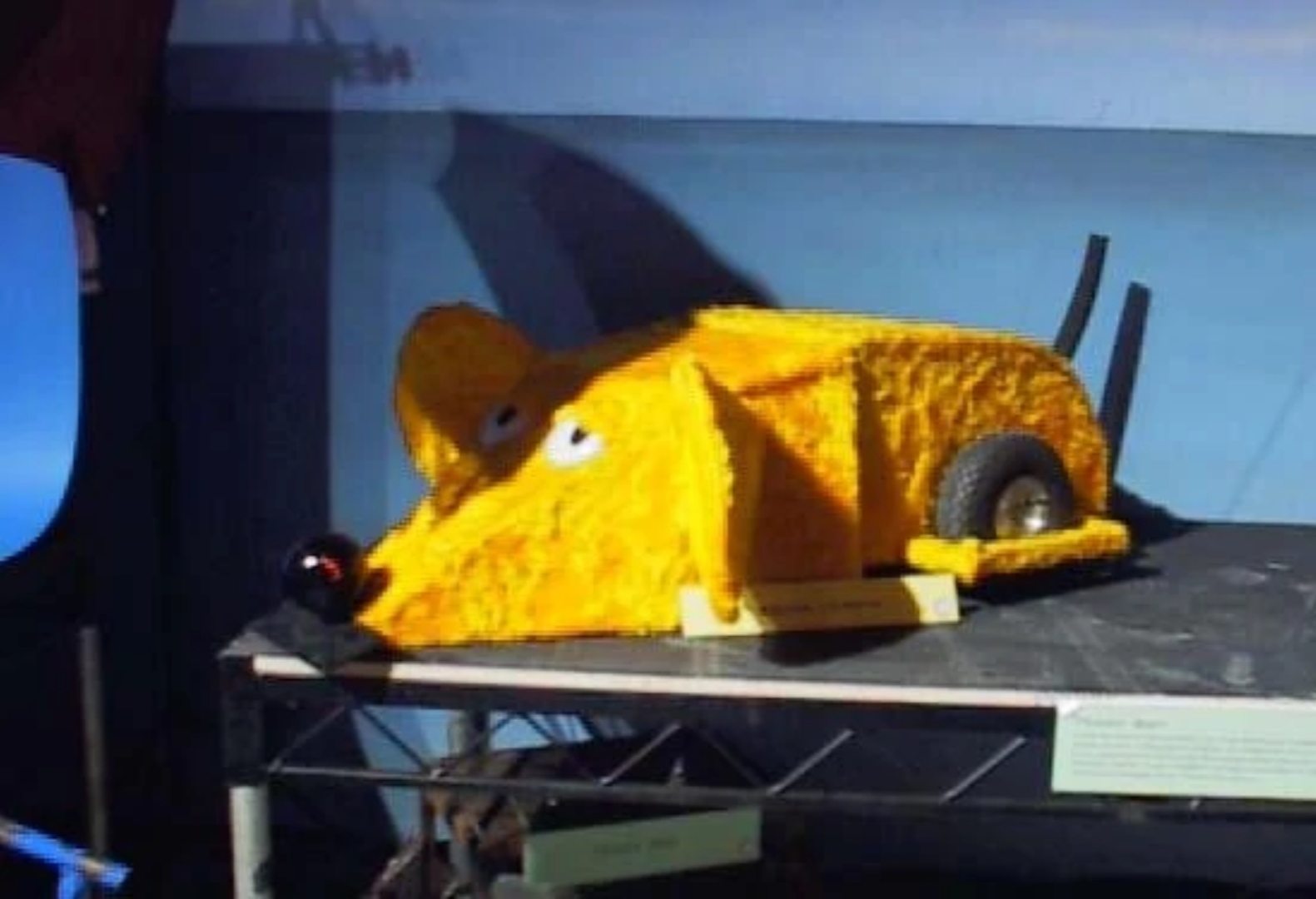 Competitor "Squirmin Vermin" at Nickelodeon Robot Wars