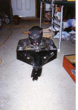 Competitor "Tuka the Cat" at ROBOlympics 2004