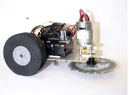 Competitor "Anty Maim" at BattleBots 5.0