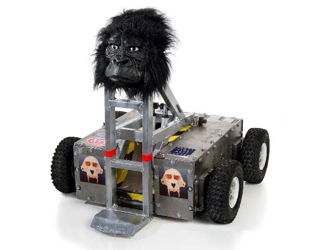 Competitor "Silverback" at BattleBots 5.0