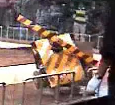 Competitor "Unknown Korea04 Robot 5" at Korea Robot Wars 2004