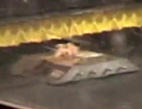 Competitor "Killa Gorilla" at BattleBots IQ 2005