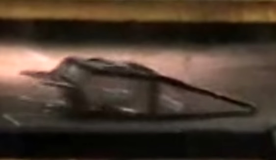 Competitor "Protoge" at BattleBots IQ 2004