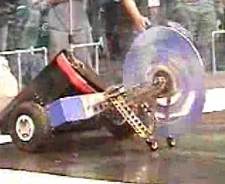 Competitor "T-Bone Striker" at Korea Robot Wars 2004