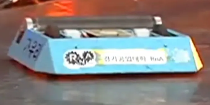 가우리