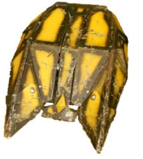 Dantomkia