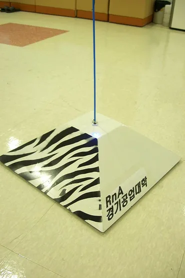 지브라