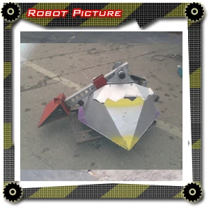 Rybot