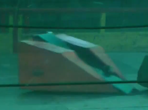 Competitor "Tilly Evo" at Portsmouth 2011