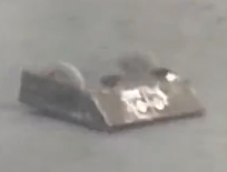 DaveBot