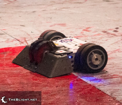 Competitor "Federal M.T." at RoboGames 2012