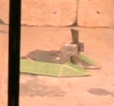 Competitor "Kako" at Winter Challenge 7ª Edição