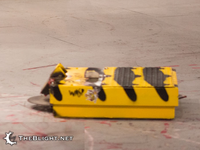 Competitor "The Wasp" at RoboGames 2012